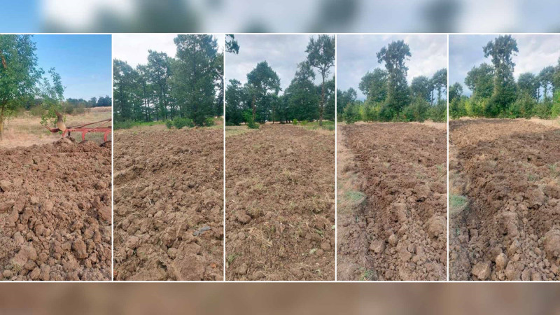 Masallıda tinglik sahəsi üçün torpaq hazırlığı aparılıb