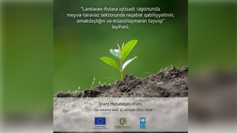 Cənub üçün 200 min avro məbləğində qrant müsabiqəsi elan edildi