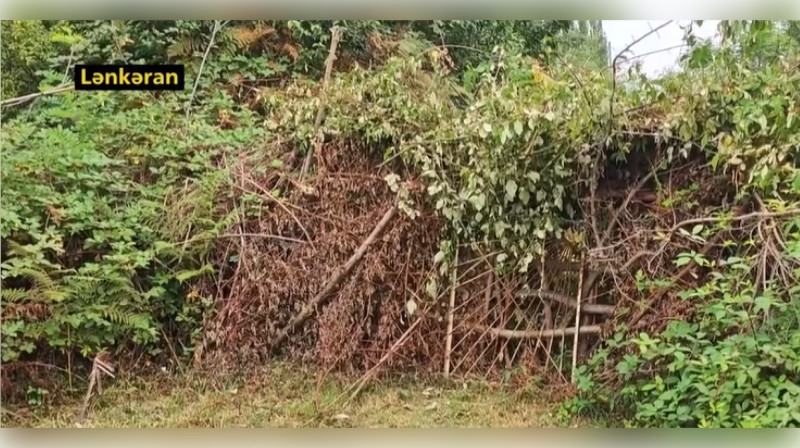 Lənkəranda 24 ildir həll olunmayan yol problemi