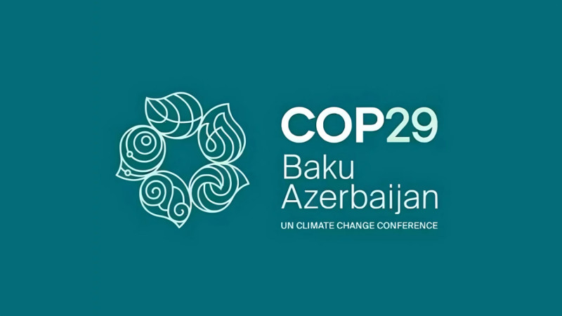 COP29 könüllüləri Lənkəranda təmizlik aksiyasında iştirak ediblər