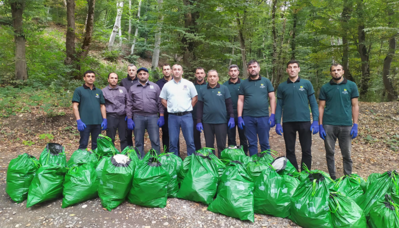 Cənubda meşə əraziləri tullantılardan təmizlənilib