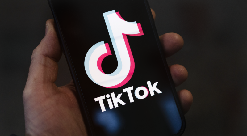 Cəlilabadlı gənc qohumlarının onminlərlə manatını TikTokda xərcləyib
