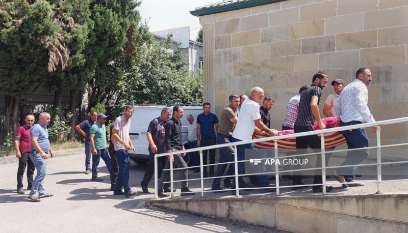 Meşədə üstünə ağac aşan Lerik sakini ölüb