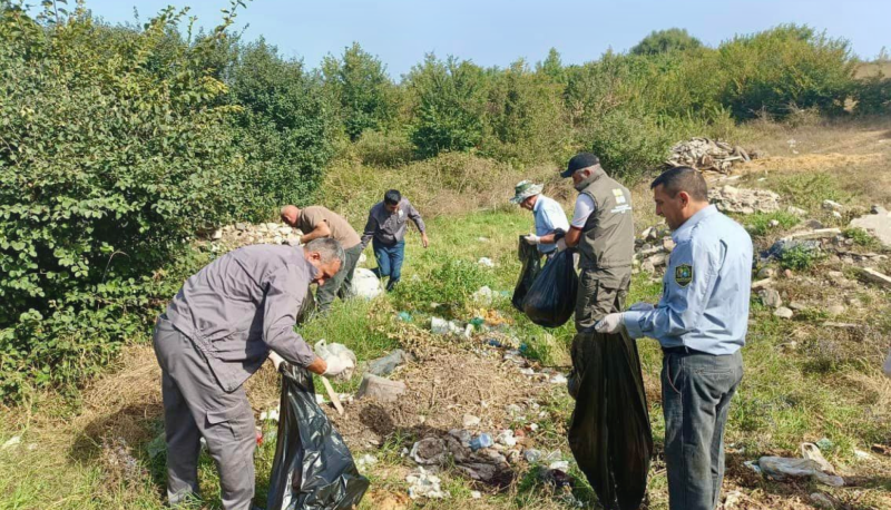 Cənub bölgəsində meşə əraziləri tullantılardan təmizlənib