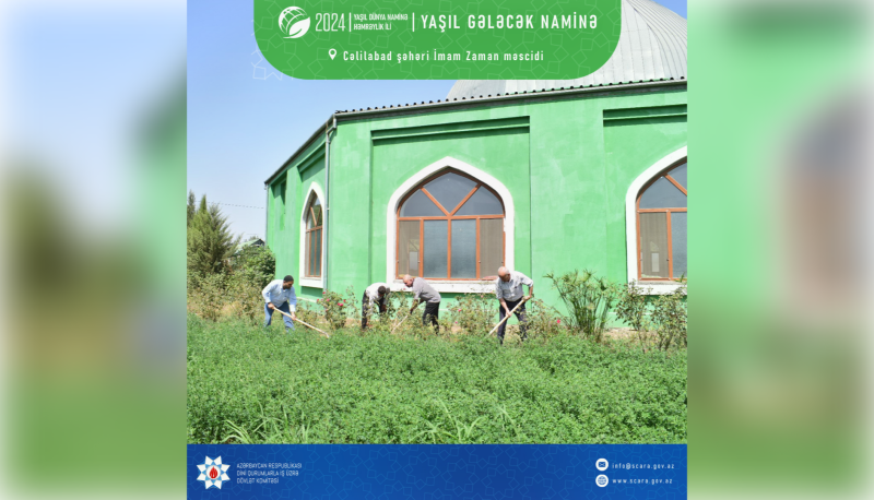 Cənub bölgəsində yaşıllaşdırma aksiyası keçirilib