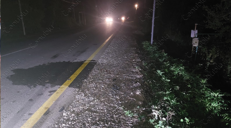 Astarada qadın xalça yuyan kişiyə xəsarət yetirdi - MƏHKƏMƏNİN QƏRARI