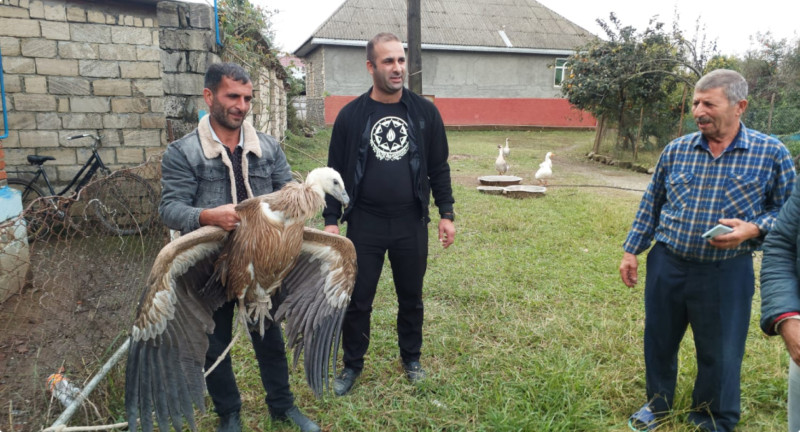 Astaraya ilk dəfə qonaq olan Himalay kərkəzi - FOTO