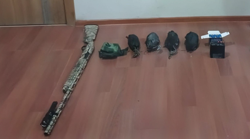 Masallıda qanunsuz ov faktı aşkarlanıb