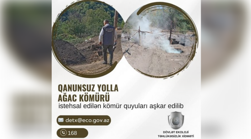 Masallı və Cəlilabadda qanunsuz kömür quyuları aşkarlandı