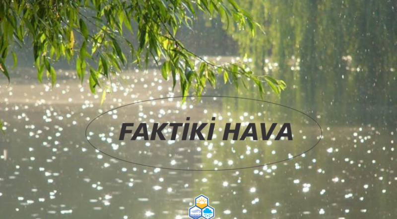 Cənubda yağış yağır – FAKTİKİ HAVA