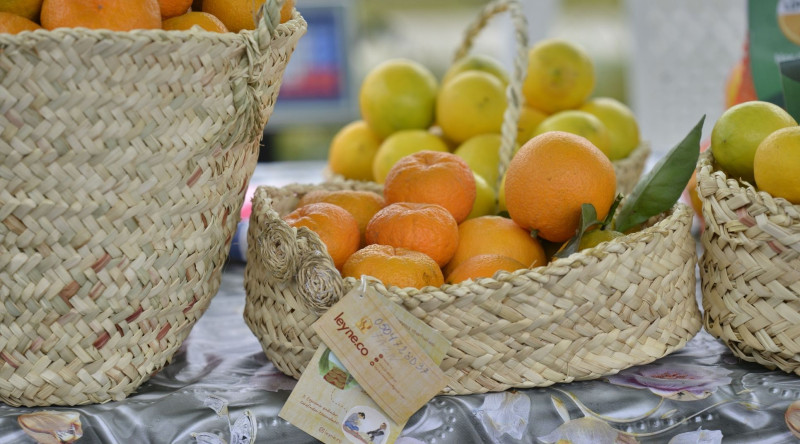 Cənubda aqrar biznes festivalları keçirilib - FOTO