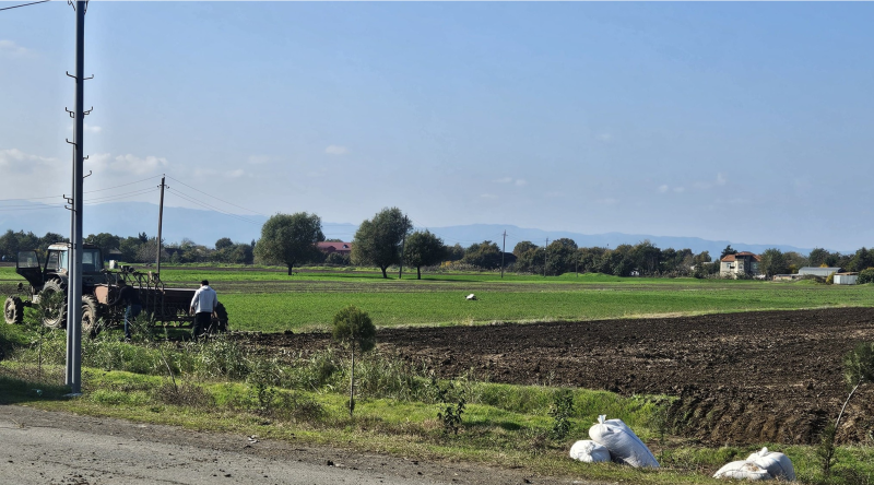 Əkinə başlayan Çaxırlı kəndindən görüntülər