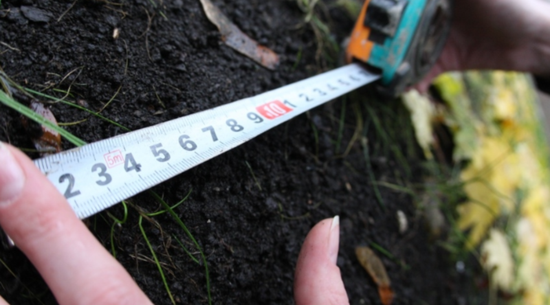 Cənubda torpaq almaq istəyənlərin NƏZƏRİNƏ!