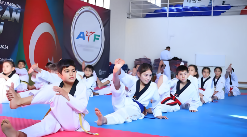 Masallıda taekvondo üzrə ustad dərsi keçirilib