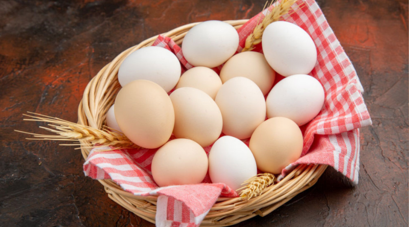 Broyler yumurtaları ZƏRƏRLİDİR? – AÇIQLAMA