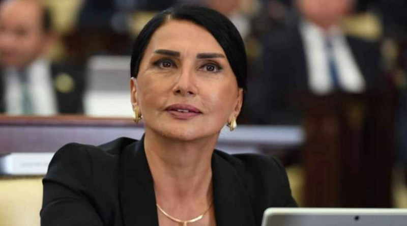 Deputat: İşsizlik bölgələrdə bir nömrəli problemdir - VİDEO