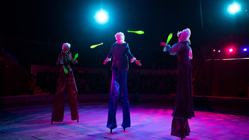 Lerikə sirk GƏLİR