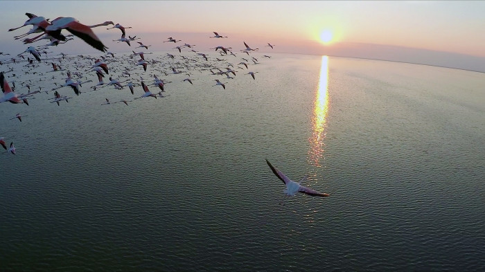 Cənubun milli parklarında tədbirlər təşkil olunacaq