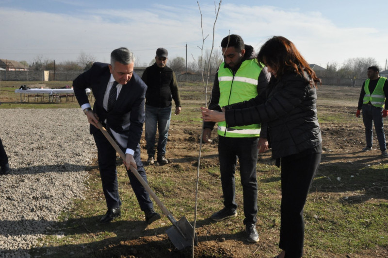 Biləsuvarda salınan yeni park