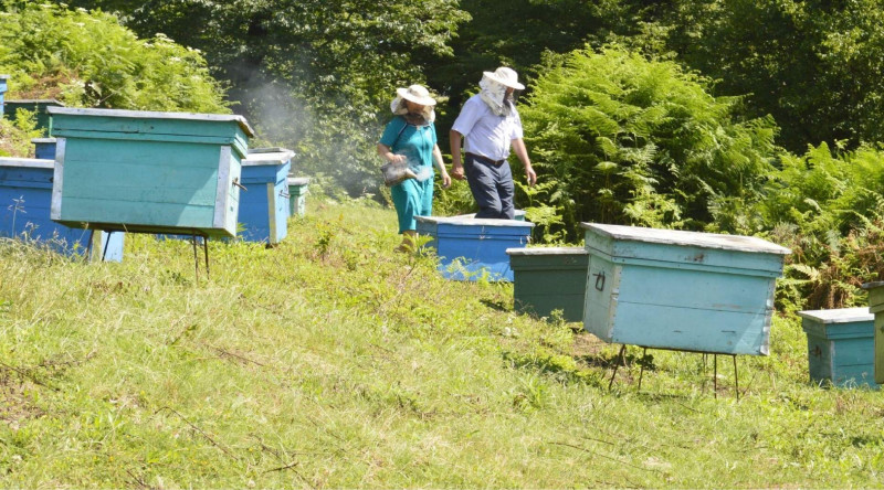 Talış dağlarında yerləşən qədim Miki kəndi