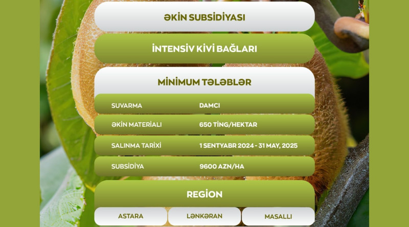 Cənubluların nəzərinə: kivi bağları salan fermerlərə əkin subsidiyası veriləcək