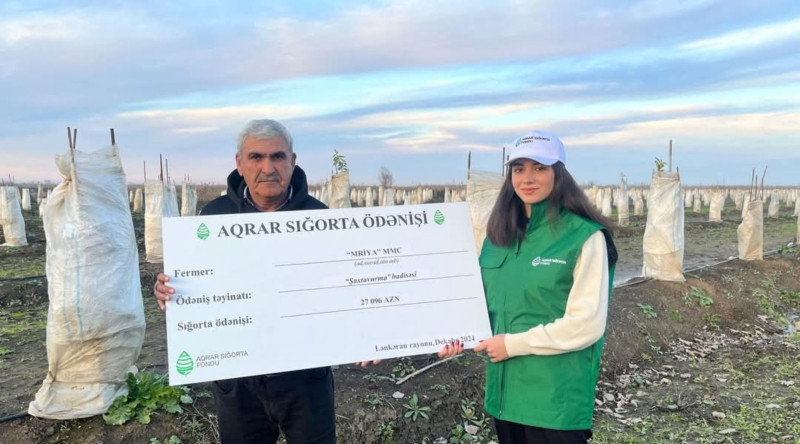 Azərbaycanda sitrus meyvələri istehsalı üzrə sığorta ödənişi edilib