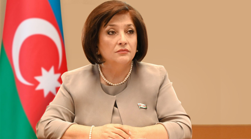 “Komissiya faciə ilə bağlı ictimaiyyətə məlumat verəcək” – SPİKER