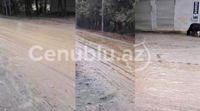 Yeni il ərəfəsində Azərbaycanda un qiymətləri – RƏSMİ