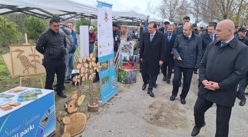 Qızılağac Milli Parkında II Flaminqo festivalı keçirilib