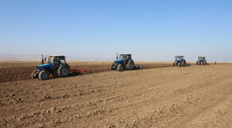 Cəlilabadda 62 min hektardan çox əkin sahəsi şumlanıb
