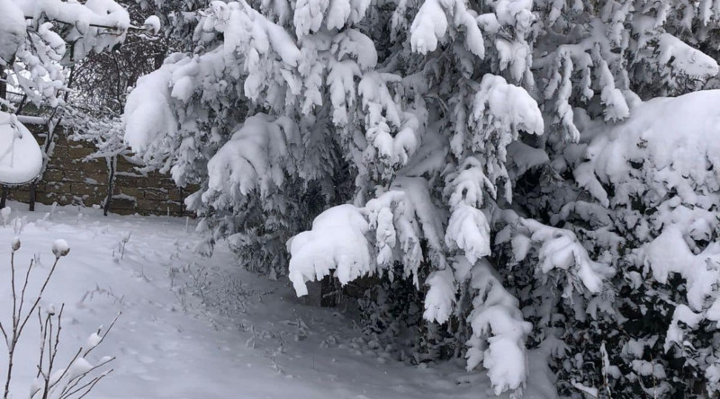 Qar Lerikdə yolları bu vəziyyətə salıb - VİDEO