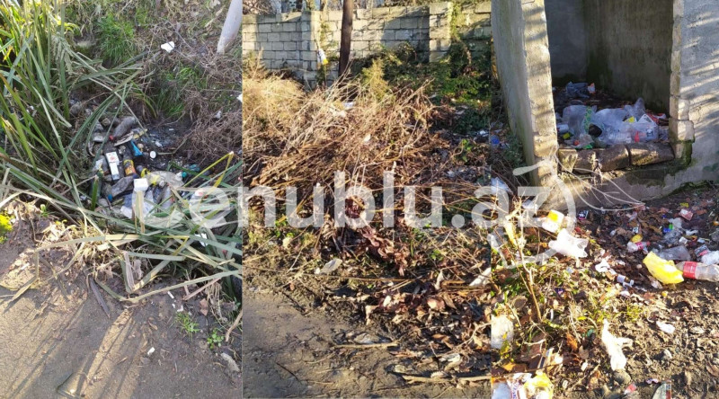 Lənkəranda zibil poliqonuna çevrilən küçə - VİDEO