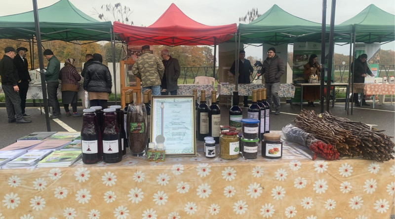 Lənkəran və Lerikdə Aqrar İnnovasiya Festivalları keçirilib