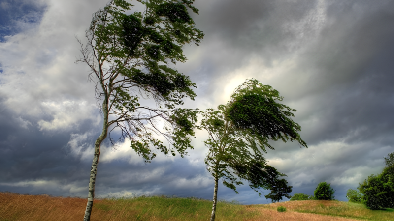 Hava küləkli olacaq - XƏBƏRDARLIQ 