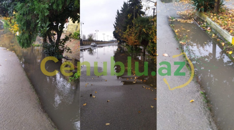 Lənkəranda yağışın fəsadları: bərələr daşıb - VİDEO