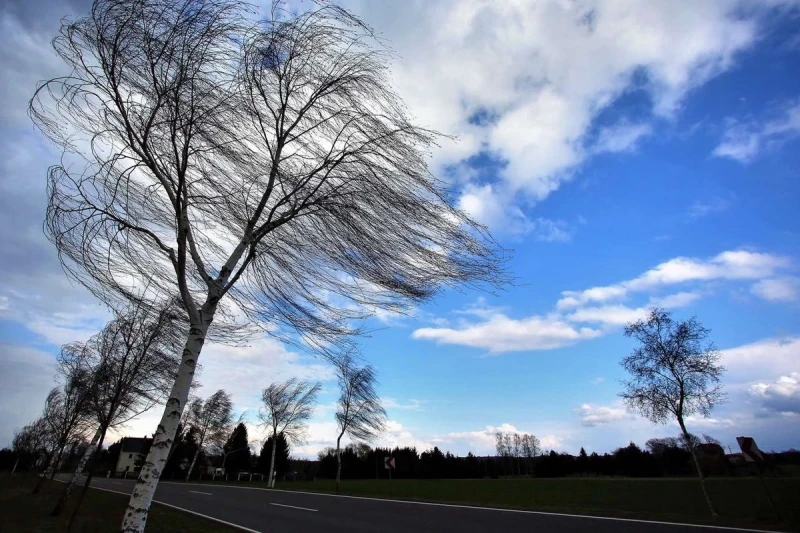 Sabah külək güclənəcək - XƏBƏRDARLIQ