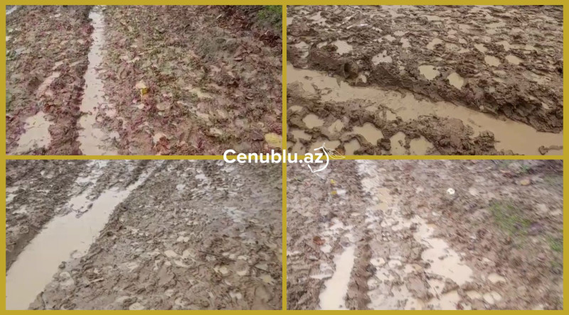 Lənkəran kəndində keçilməz yol - VİDEO