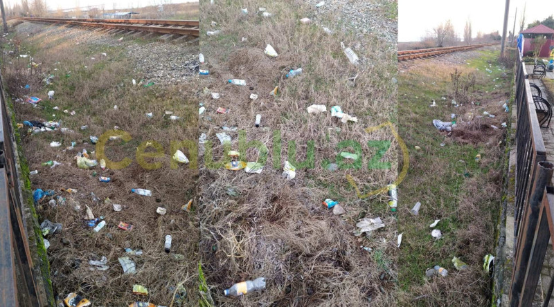 Lənkəranın sağalmayan yarası: Zibillik - VİDEO