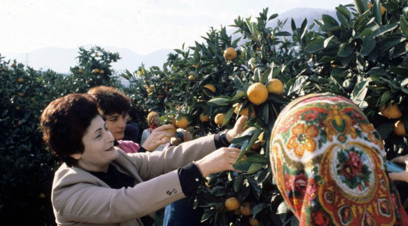 Lənkəran Şəhər İcra Hakimiyyətinin sabiq başçısı Dilruba Camalovanın doğum günüdür