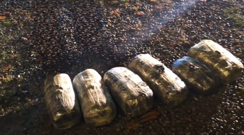 Lənkəranda narkotik vasitələr dövriyyədən çıxarılıb - VİDEO