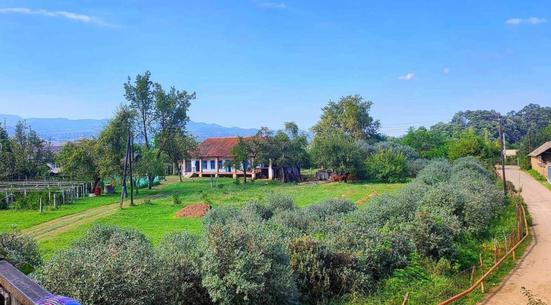 Boris Millerin çarojların yaşayış məntəqəsi adlandırdığı Sərək kəndi