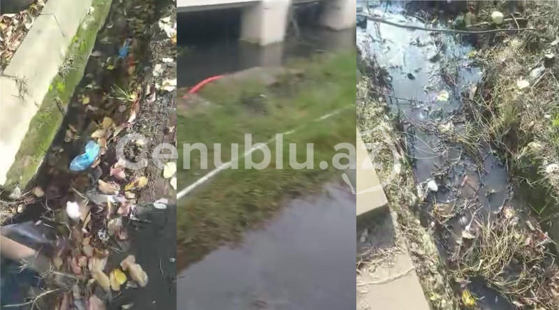 Sulara qərq olan Lənkəranımız - ÇARƏ QILAN OLACAQMI? - ŞİKAYƏT + VİDEO