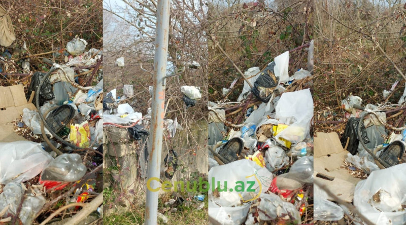 Lənkəranın bitməyən zibil dərdi - VİDEO