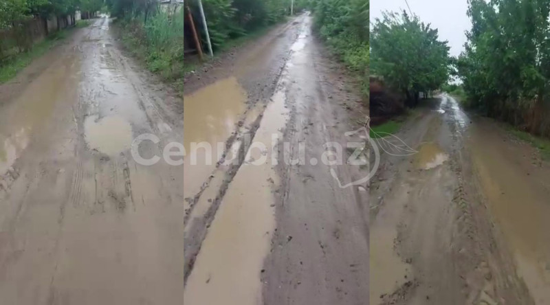 Biləsuvarda şəhid adını daşıyan küçənin təmirə ehtiyacı var - VİDEO