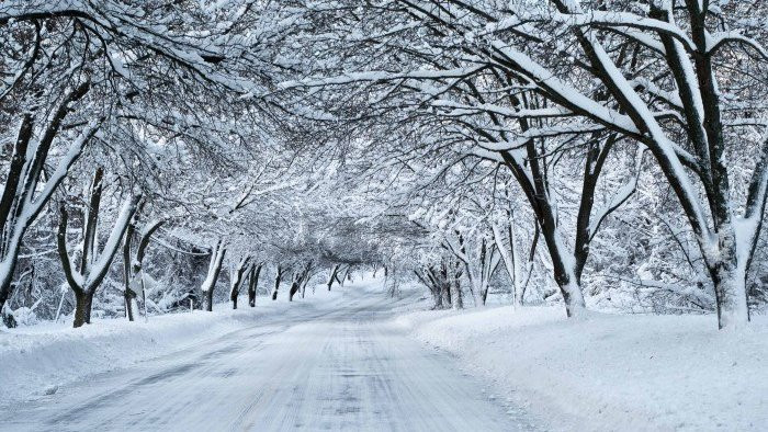 Lerikdə qar örtüyünün hündürlüyü 21 santimetrə çatıb - FAKTİKİ HAVA