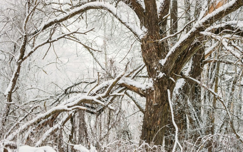 Sabah da qar yağacaq - PROQNOZ