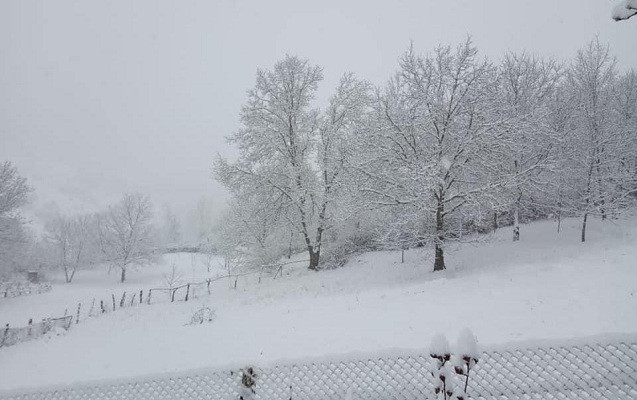 Lerikdə yağan qarın hündürlüyü 50 sm-dir - FAKTİKİ HAVA - VİDEO