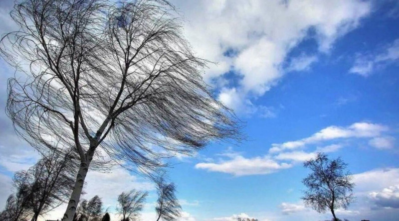Küləkli hava şəraiti ilə bağlı XƏBƏRDARLIQ