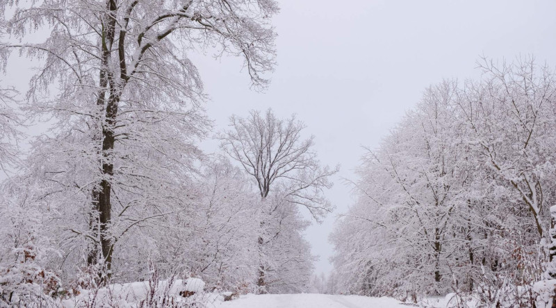 Qarlı hava davam edir - FAKTİKİ HAVA
