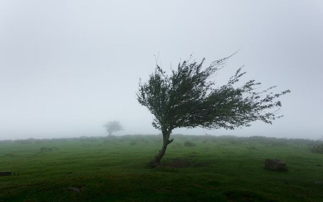 Küləkli hava şəraiti ilə bağlı sarı xəbərdarlıq edilib